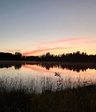 Hirsihuvila Yksityisessae Niemessae Petaejaevedellae Petäjävesi