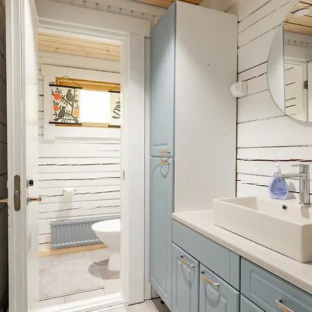 Hirsihuvila Yksityisessae Niemessae Petaejaevedellae Petäjävesi