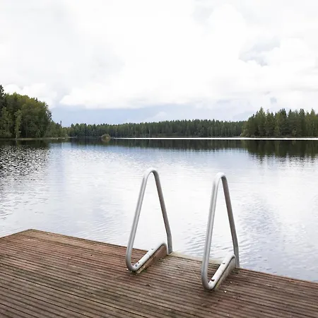 Hirsihuvila Yksityisessä Niemessä Petäjävedellä * Petäjävesi