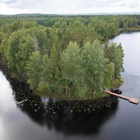 Hirsihuvila Yksityisessä Niemessä Petäjävedellä * Petäjävesi