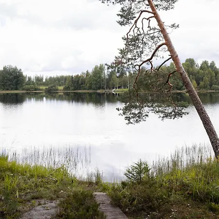 Hirsihuvila Yksityisessae Niemessae Petaejaevedellae Villa Petäjävesi