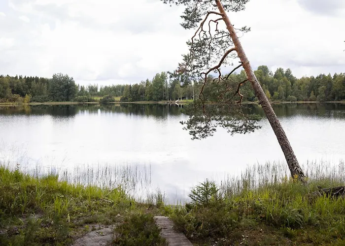 Hirsihuvila Yksityisessae Niemessae Petaejaevedellae فيلة Petäjävesi